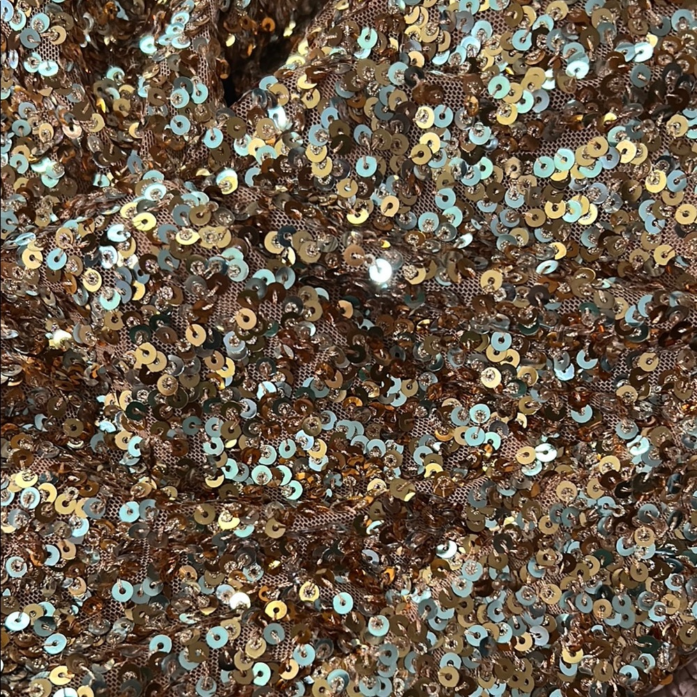 Sequin Wide-Leg Rose Gold Pant - Picture 6 of 9